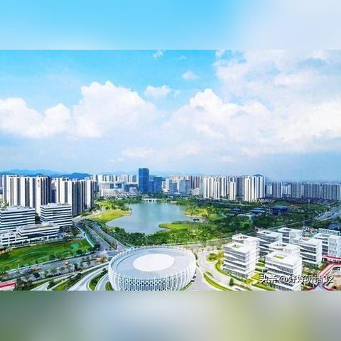 一码一肖一特马报|最新解答解释落实_按需版.3.229