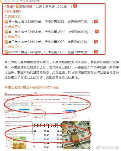 二肖中特期期期精选的技巧分享|分析与解释成语的收益与意义_探险版Eleme.3.972