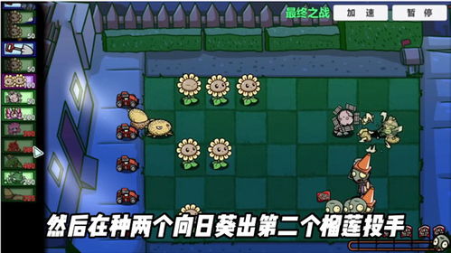 PVZBT官方正版2025最新版无限代币中文版下载-PVZBT官方正版2025无限资源下载v.2.11
